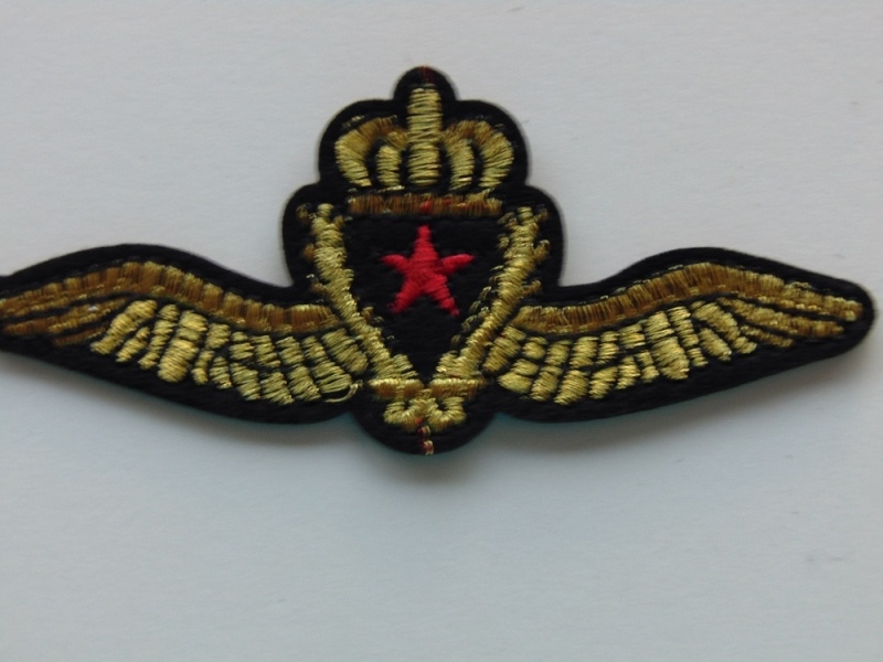 Aplique Termoadhesivo Escudo con Alas
