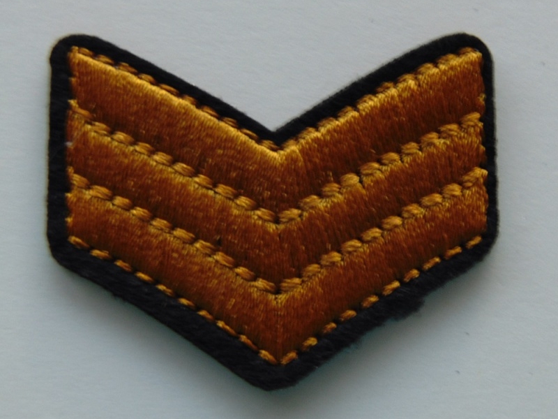 Aplique Termoadhesivo Insignia