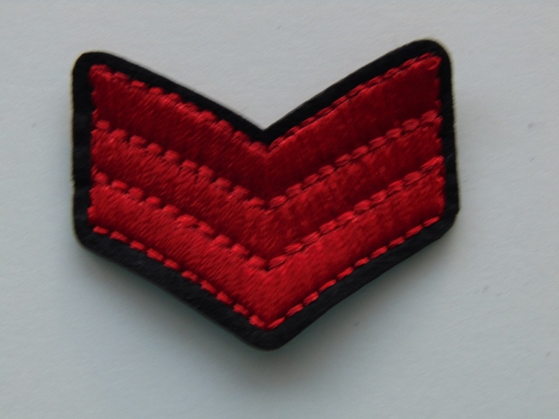 Aplique Termoadhesivo Insignia