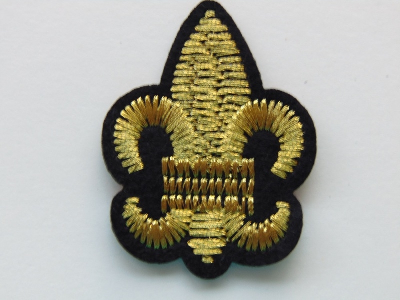 Aplique Termoadhesivo Flor de Lis